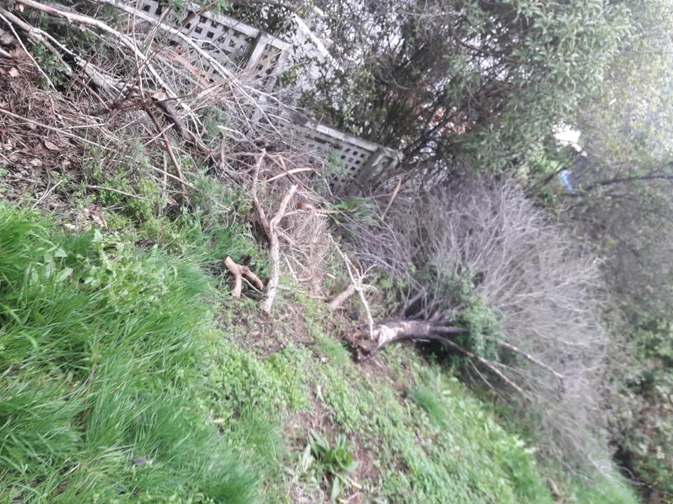 The photograph attached to this parks report