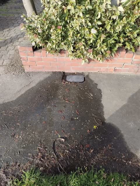 Water Leak, a report photo