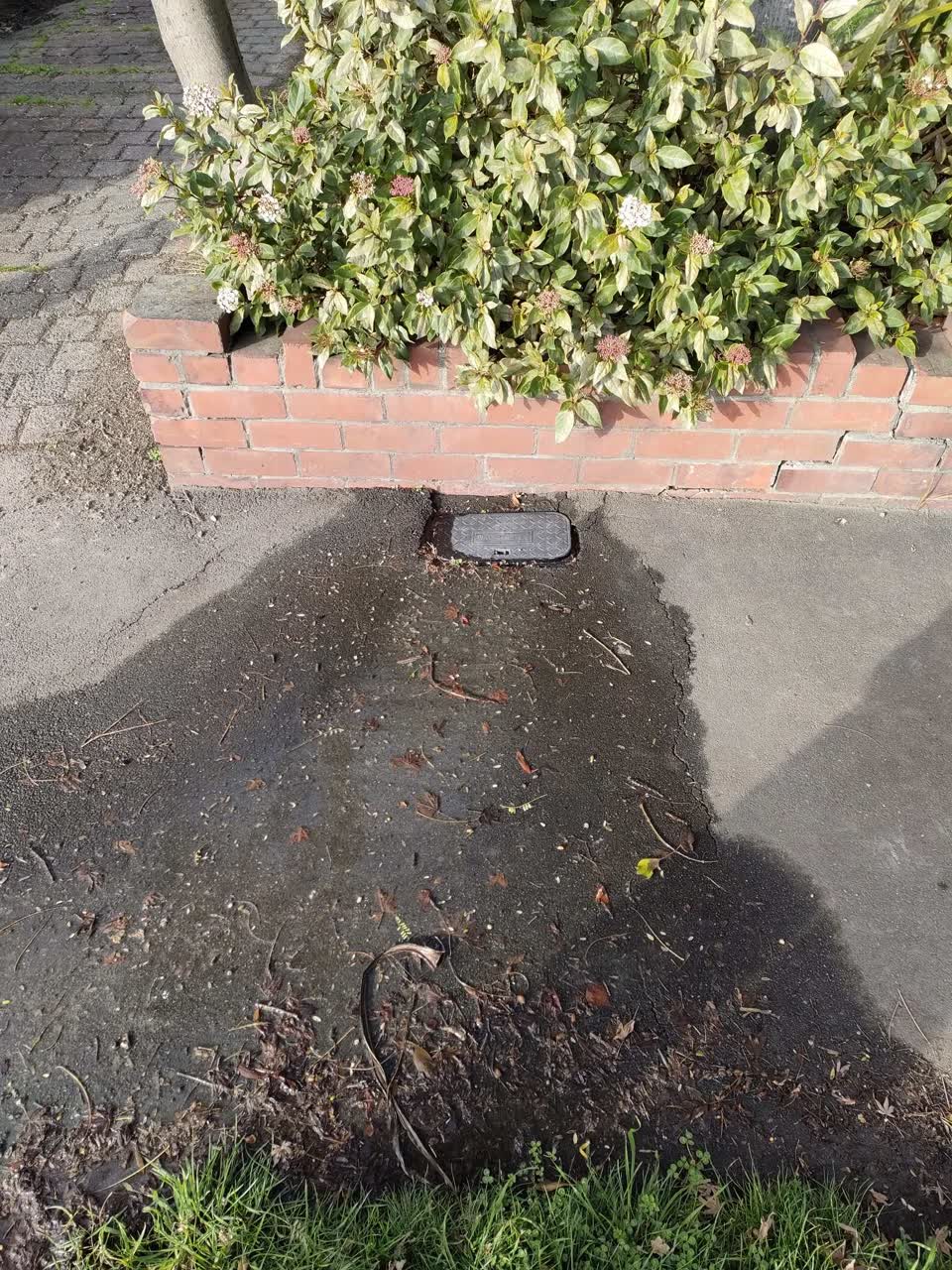 The photograph attached to this water leak report