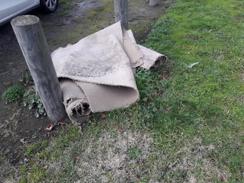 Rubbish/Recycling, a report photo