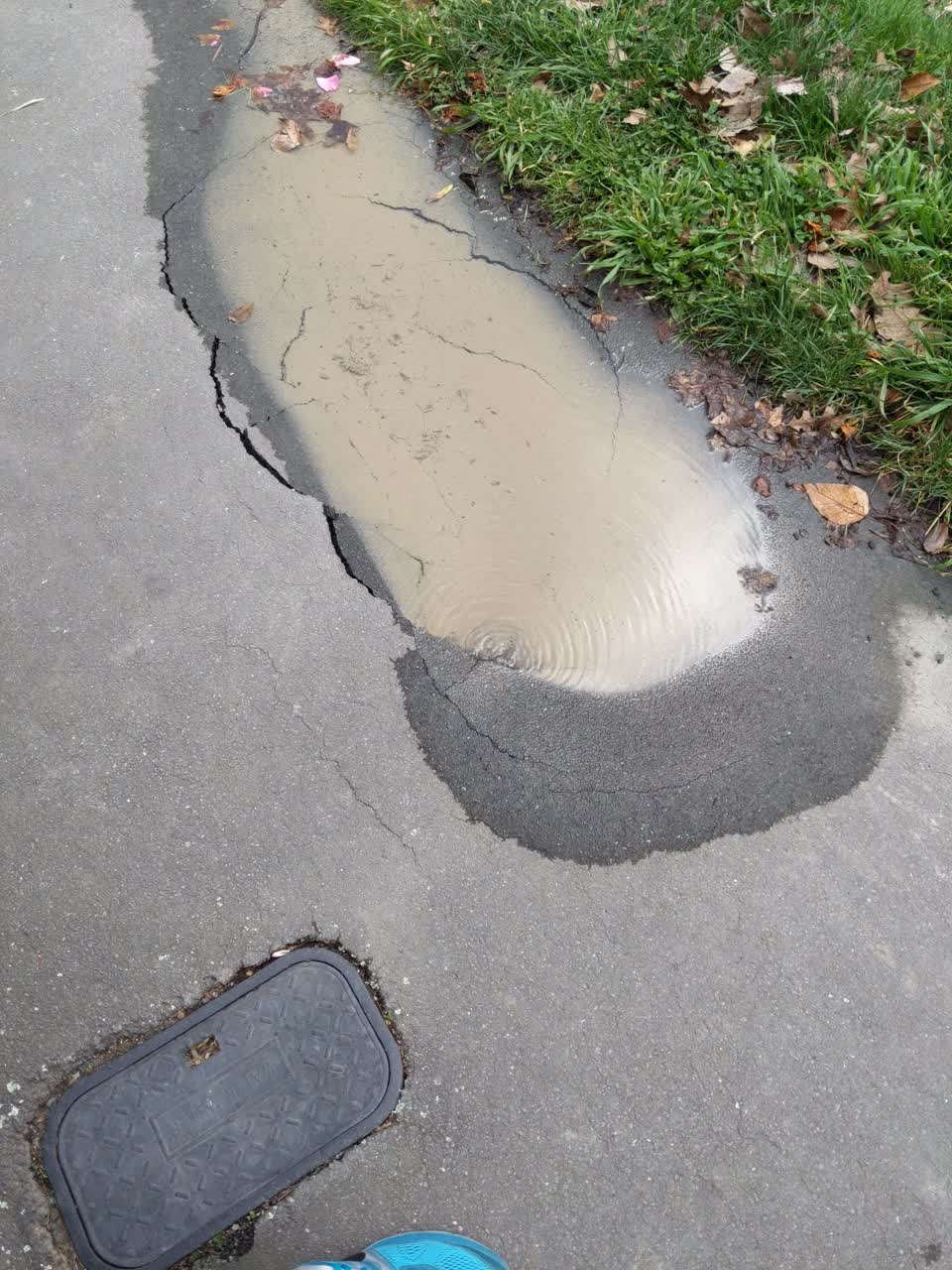 The photograph attached to this water leak report