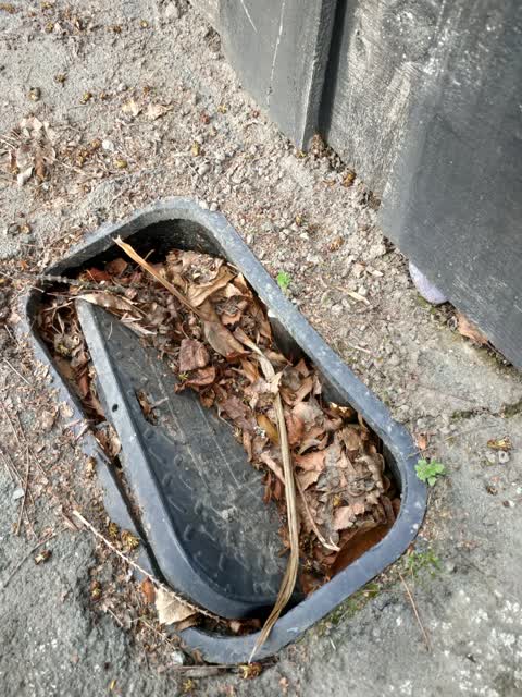 Water Supply, a report photo