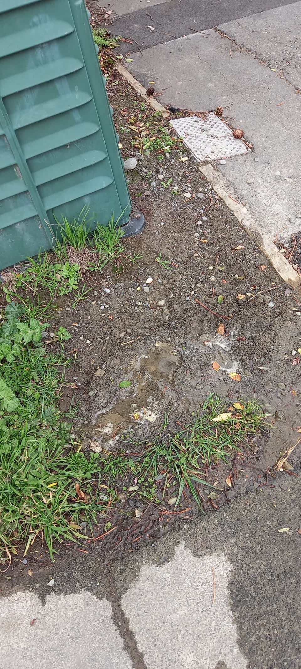 The photograph attached to this water leak report