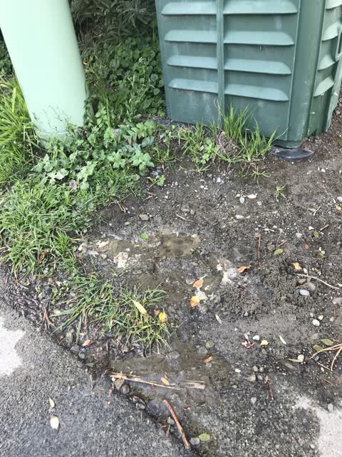 Water Leak, a report photo