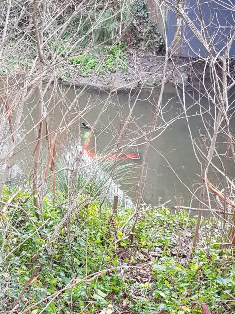 Rubbish/Recycling, a report photo