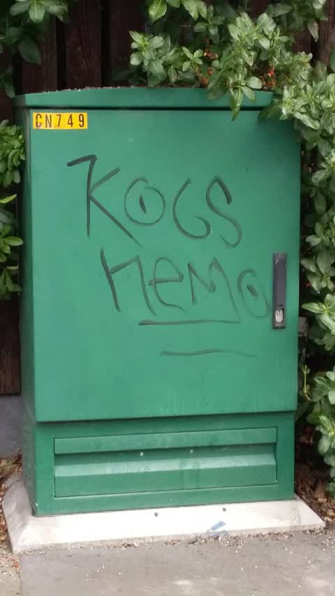 Graffiti, a report photo