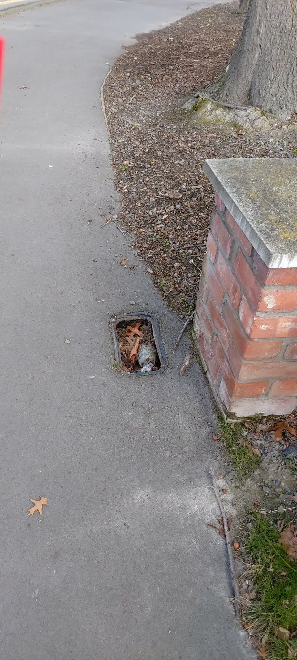 The photograph attached to this water supply report