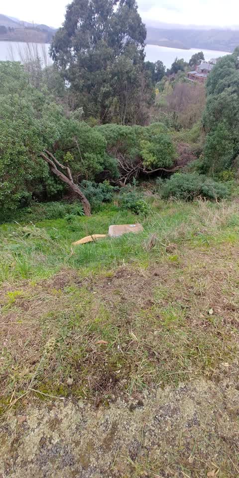Rubbish/Recycling, a report photo