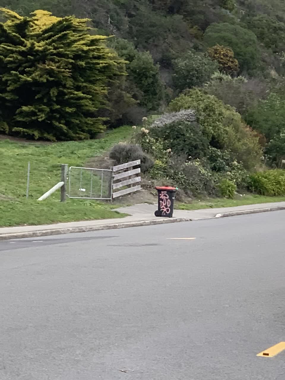 The photograph attached to this parks report
