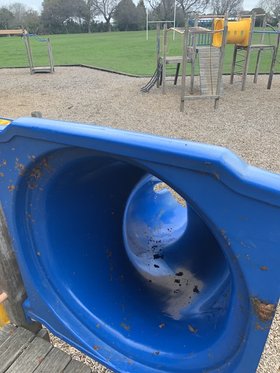 The photograph attached to this parks report