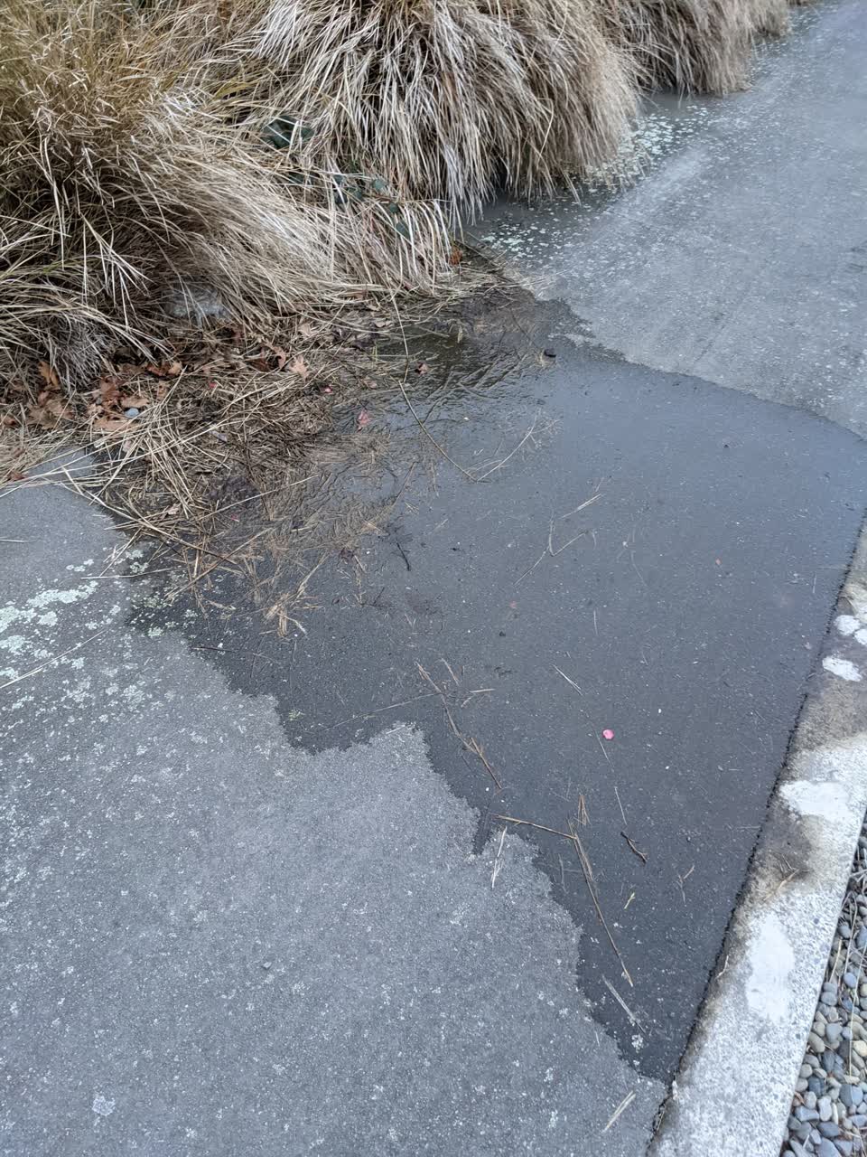 The photograph attached to this water leak report