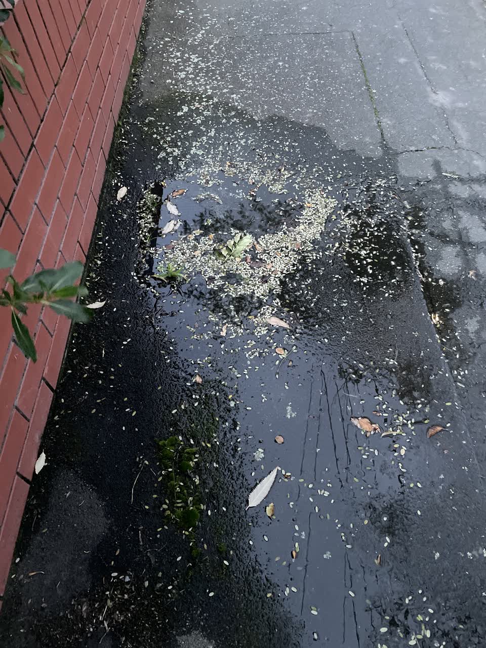 The photograph attached to this water leak report