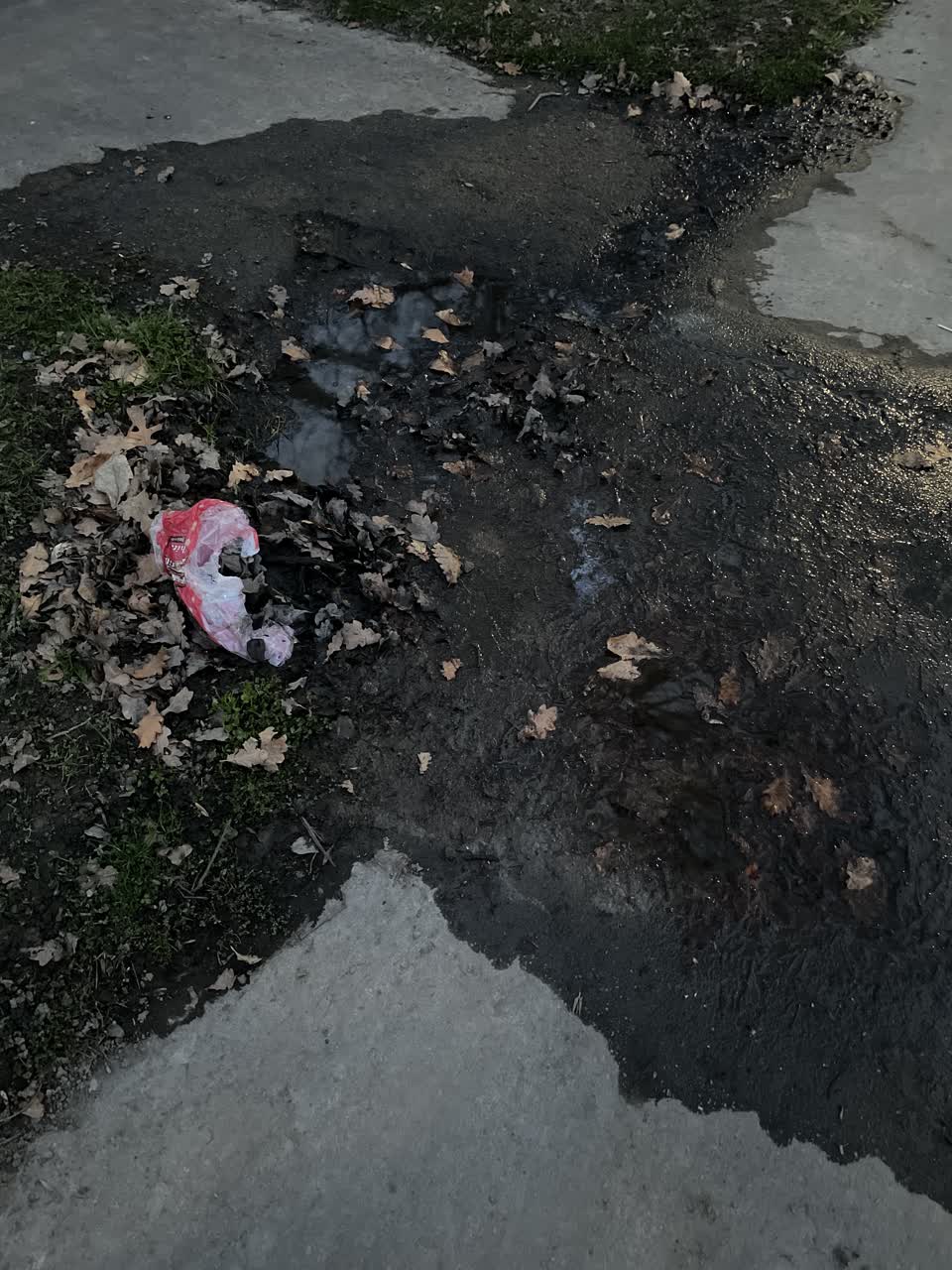 The photograph attached to this water leak report