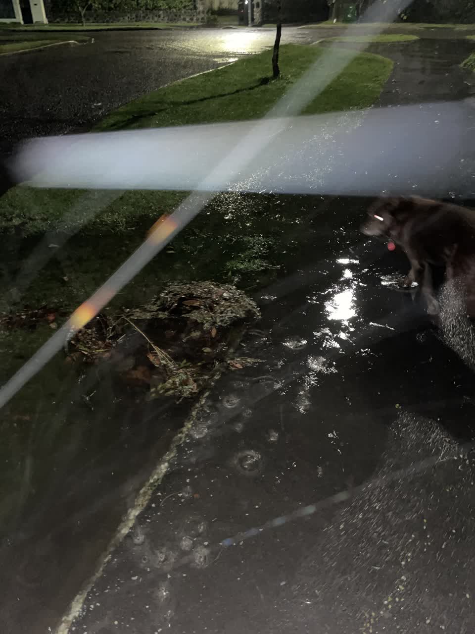 The photograph attached to this flooding report