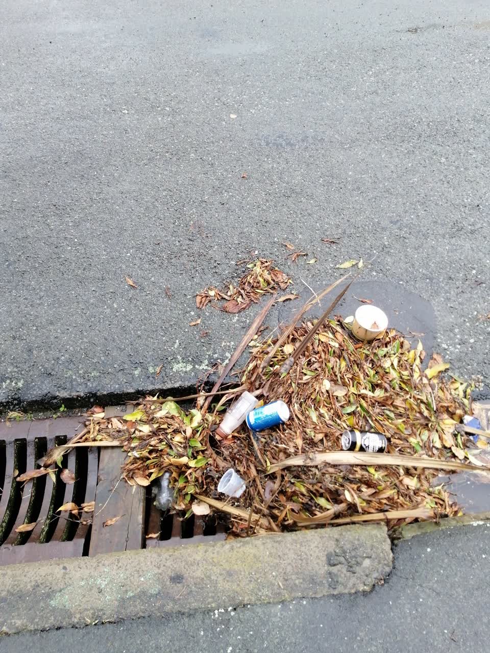 The photograph attached to this wastewater/stormwater report