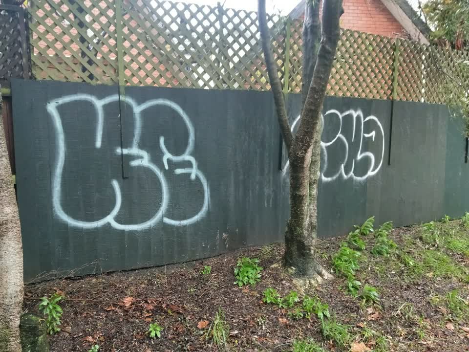 The photograph attached to this graffiti report