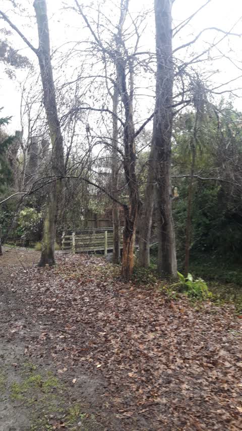 Parks, a report photo