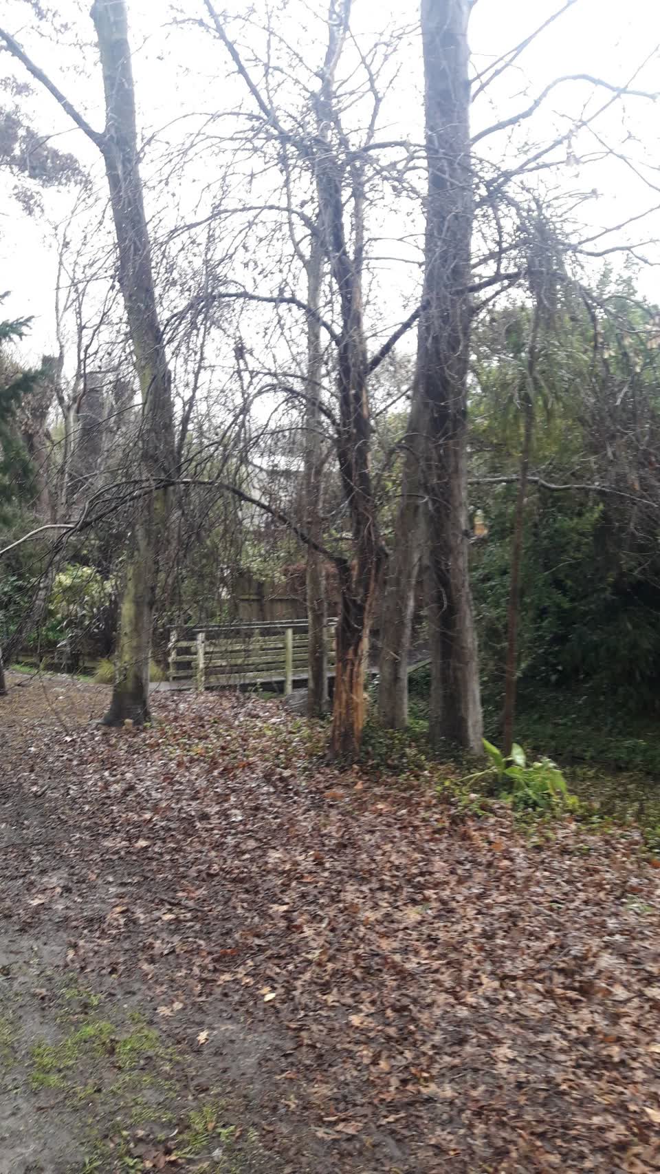 The photograph attached to this parks report