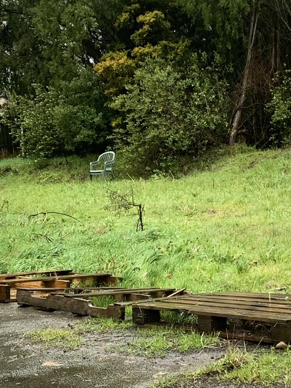 The photograph attached to this parks report