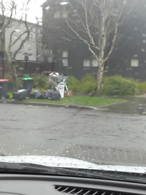 Rubbish/Recycling — a report photo