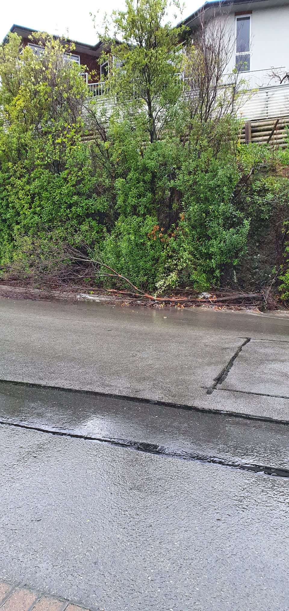 The photograph attached to this roading/streets report
