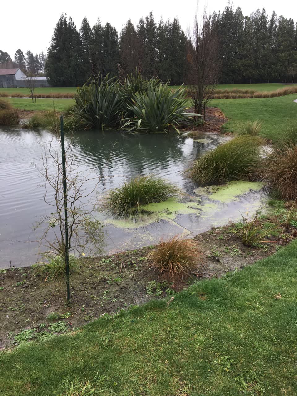 The photograph attached to this flooding report