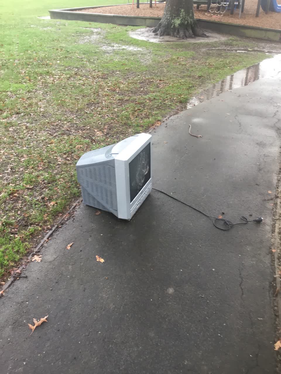 The photograph attached to this rubbish/recycling report