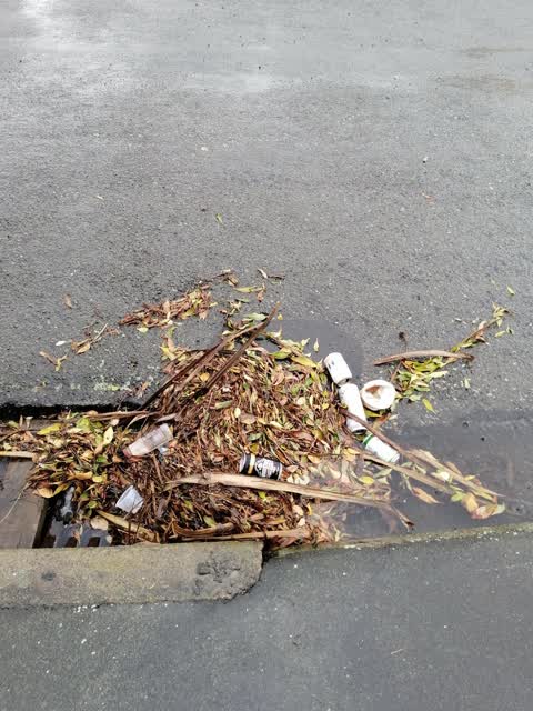 Rubbish/Recycling, a report photo