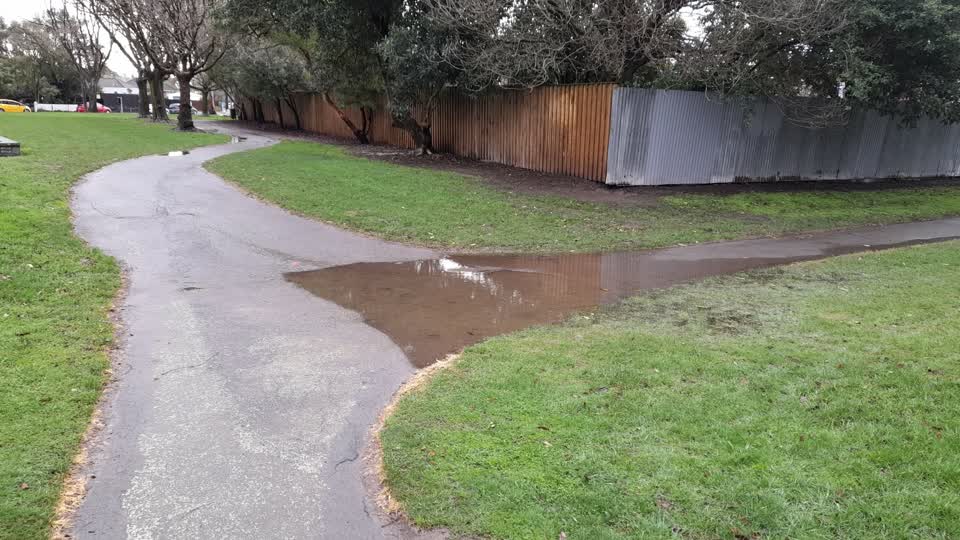 The photograph attached to this parks report