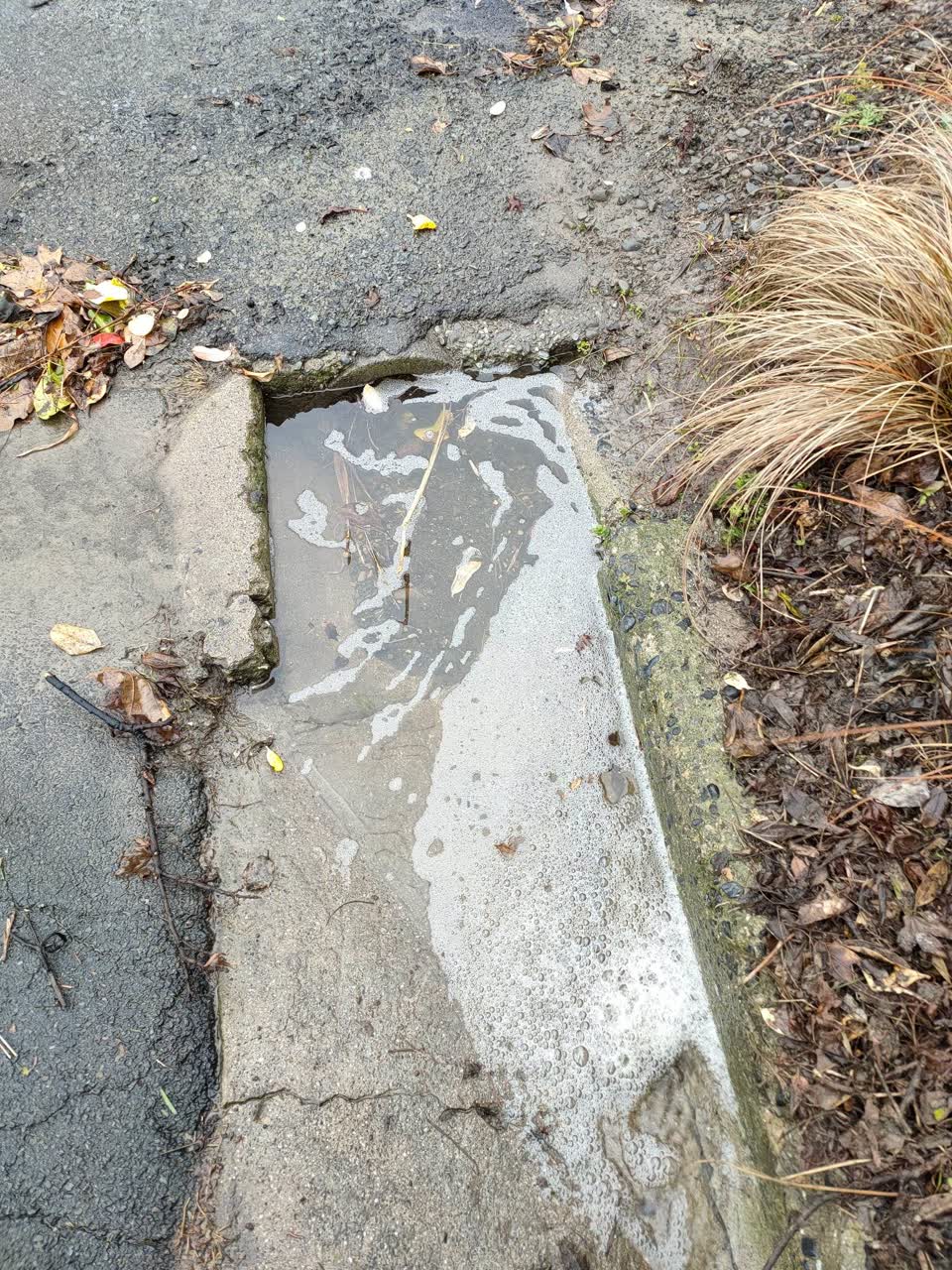 The photograph attached to this wastewater/stormwater report
