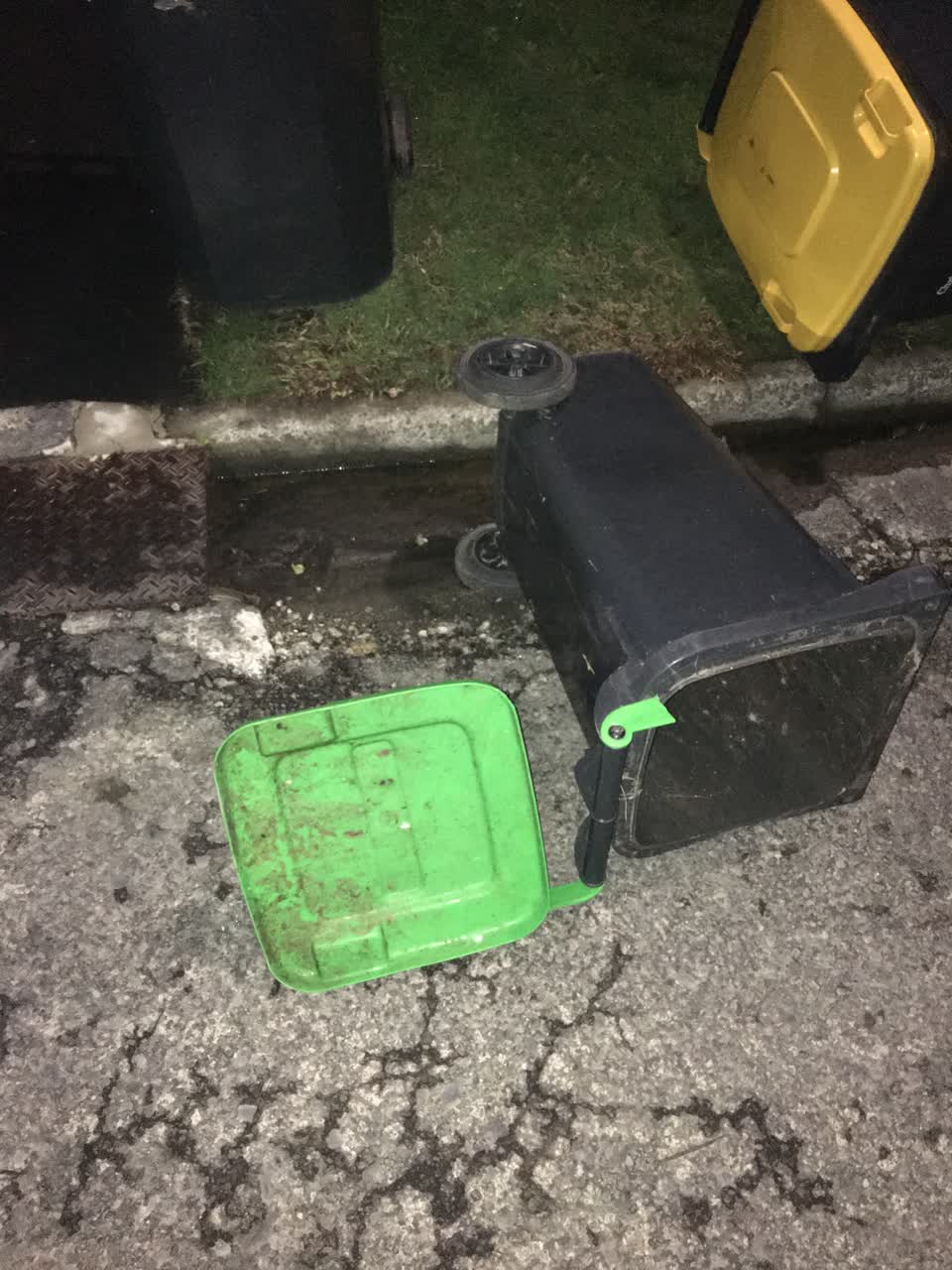 The photograph attached to this rubbish/recycling report