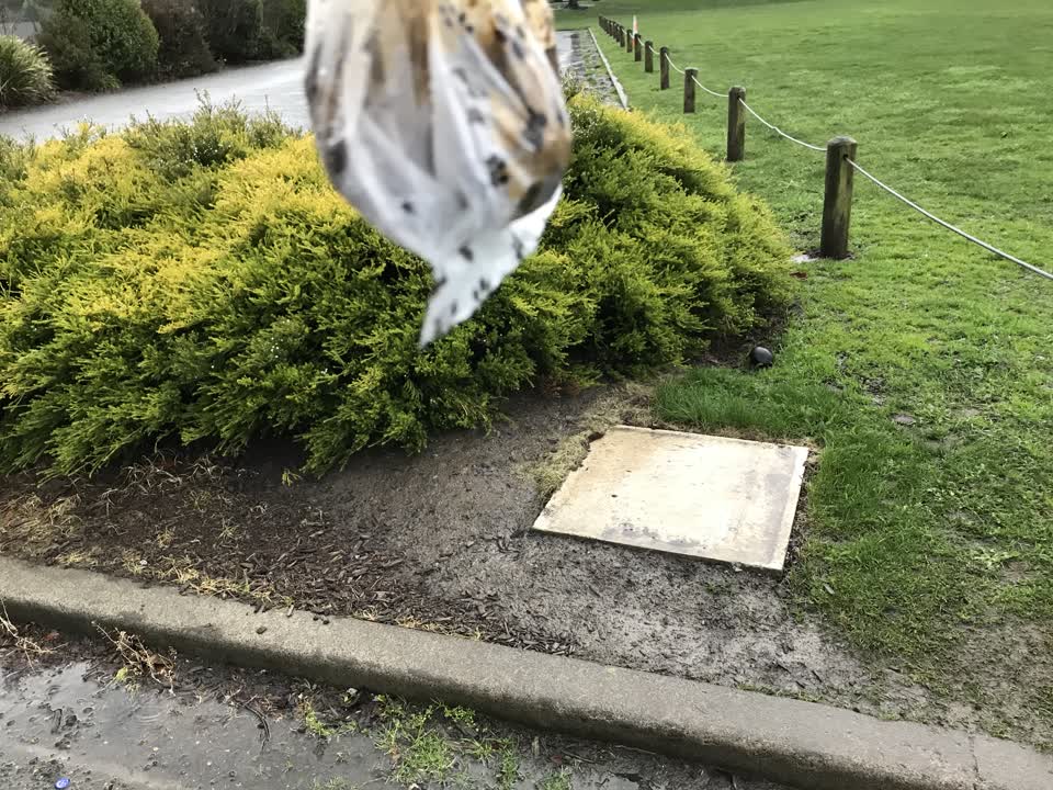 The photograph attached to this parks report