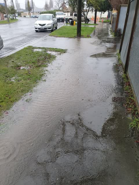 Roading/Streets, a report photo