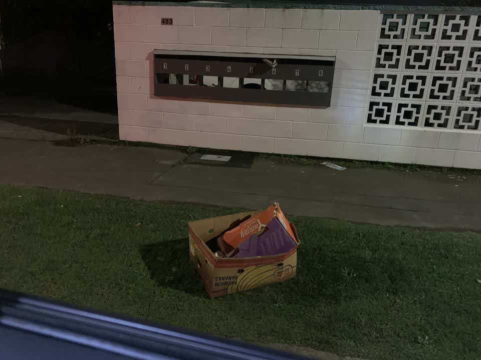 The photograph attached to this rubbish/recycling report