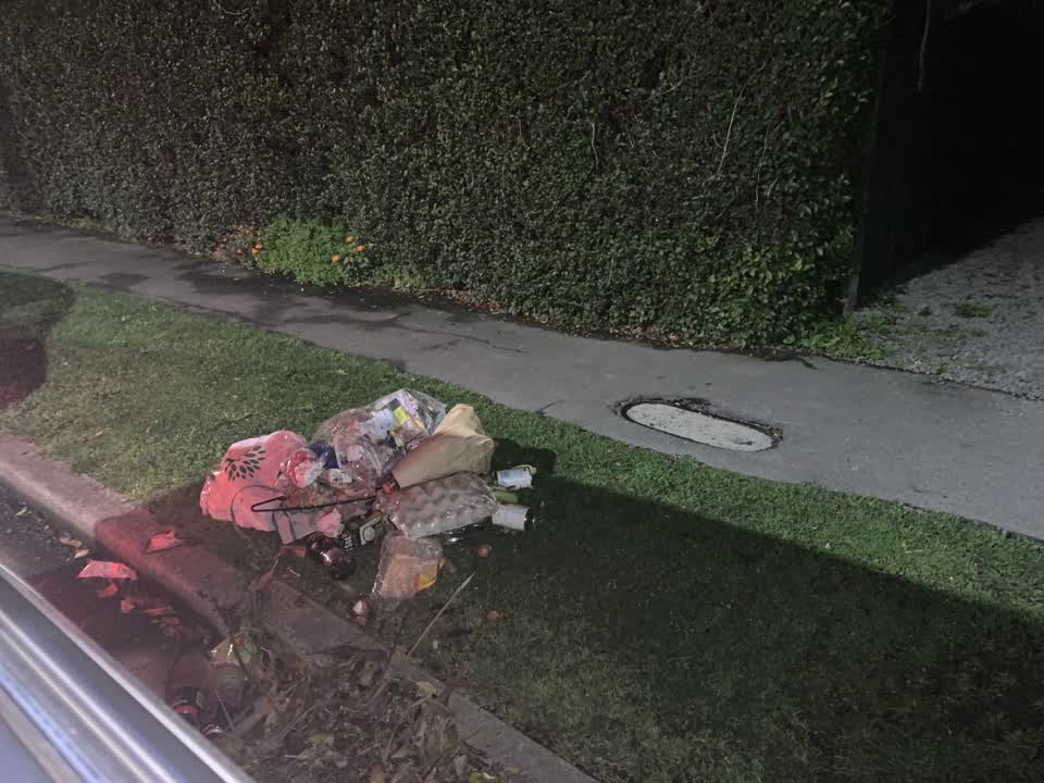 The photograph attached to this rubbish/recycling report