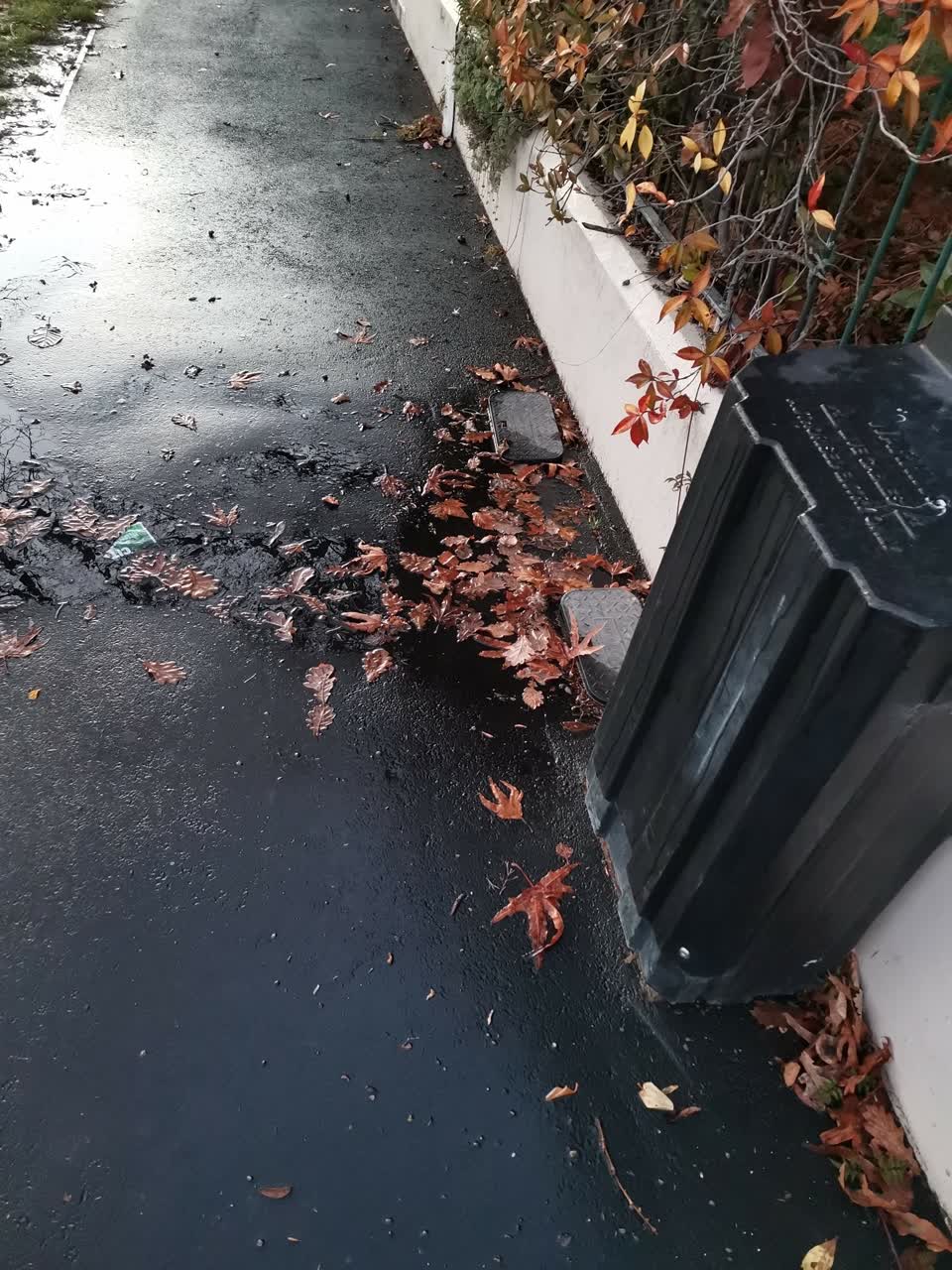 The photograph attached to this water leak report