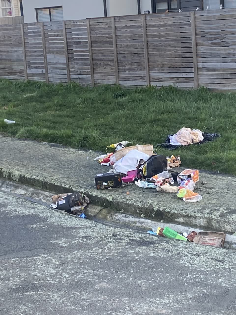 The photograph attached to this rubbish/recycling report