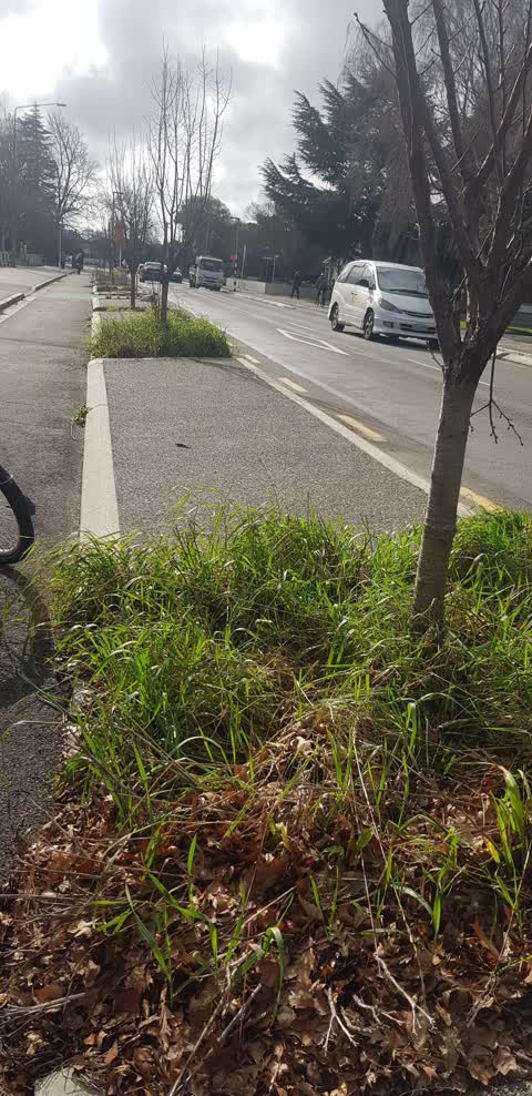 Roading/Streets, a report photo