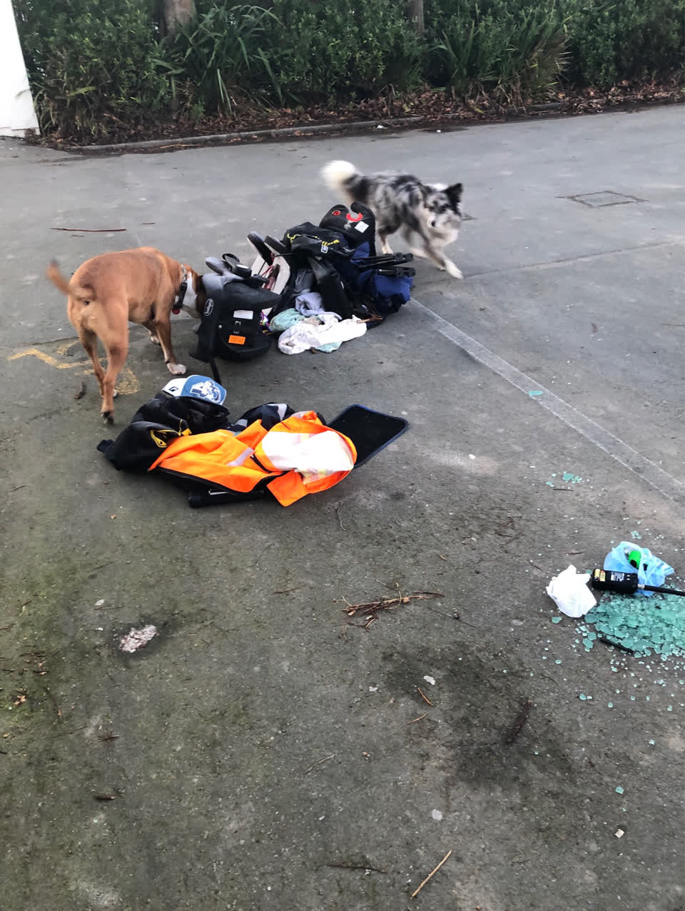 The photograph attached to this rubbish/recycling report