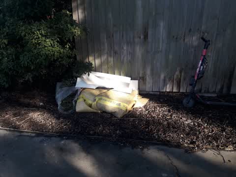 Parks, a report photo