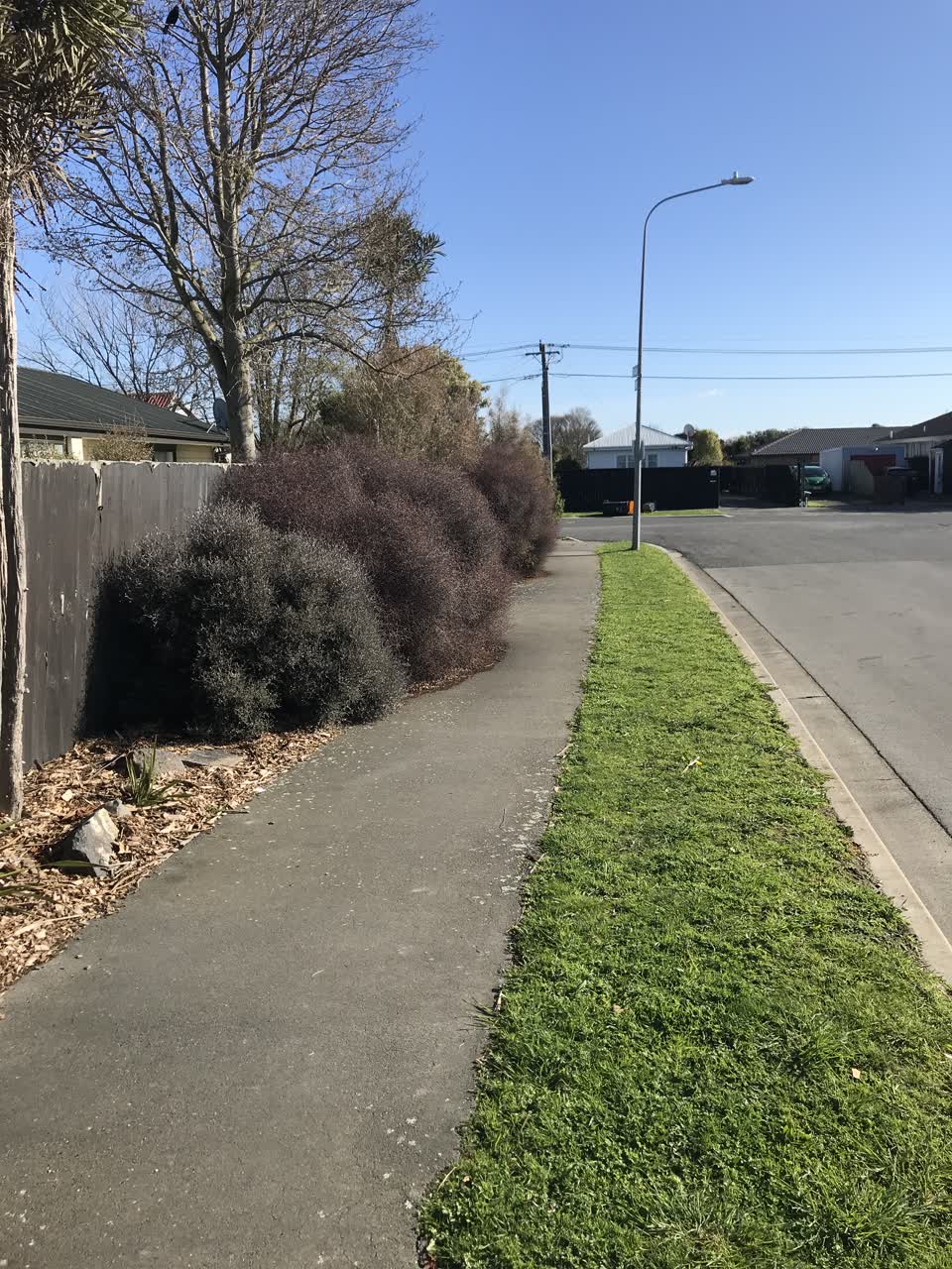 The photograph attached to this roading/streets report