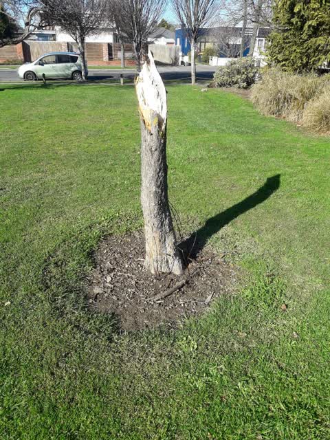 Parks, a report photo