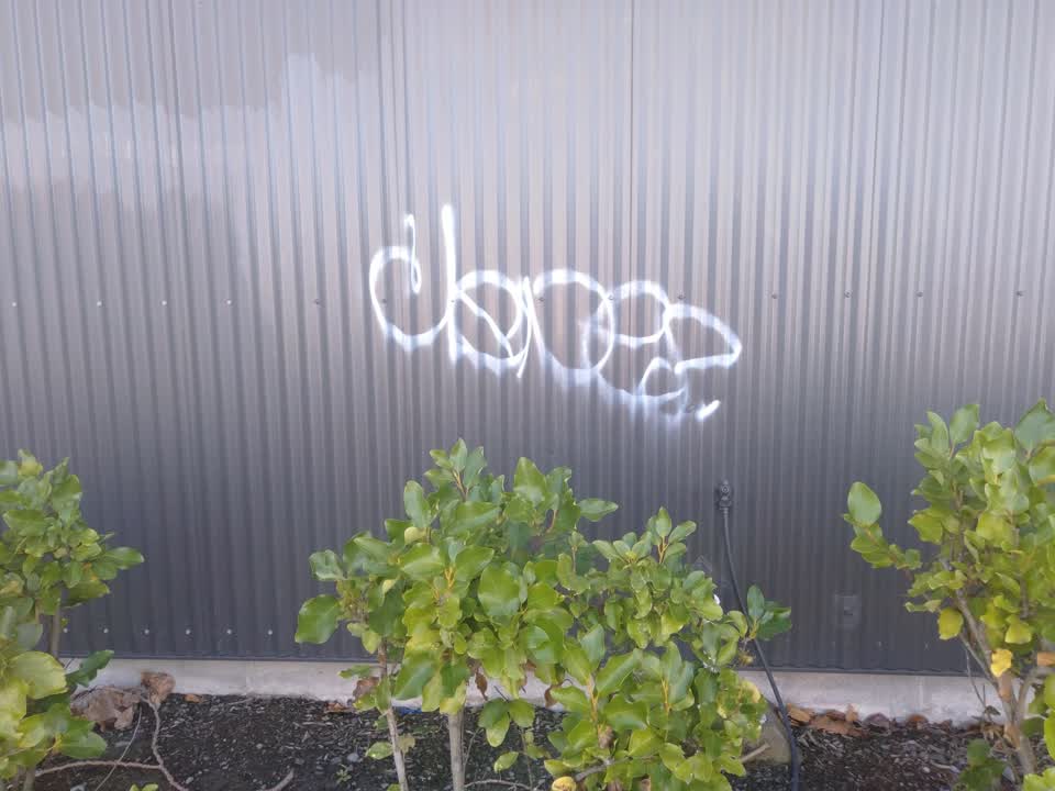 The photograph attached to this graffiti report