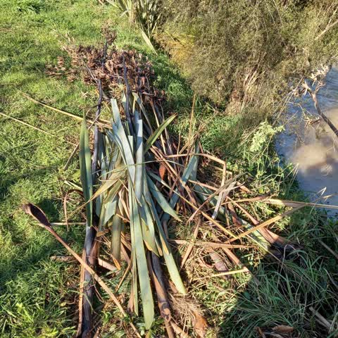 Rubbish/Recycling, a report photo