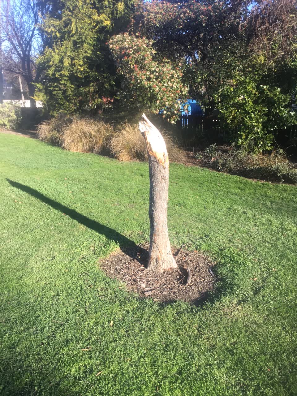The photograph attached to this parks report