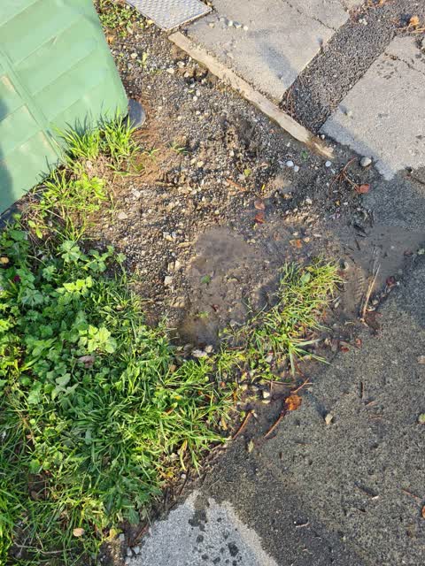 Water Leak, a report photo