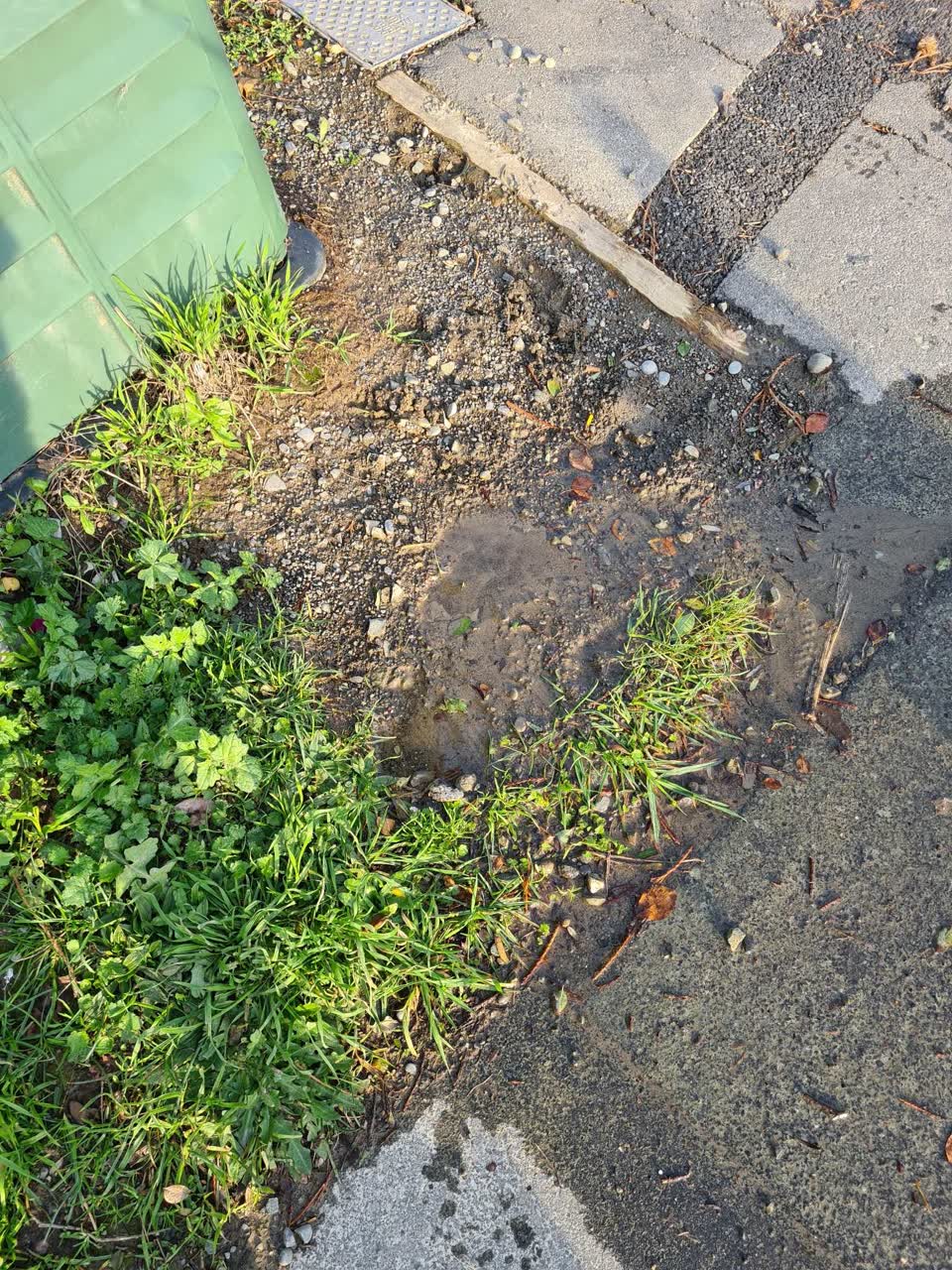 The photograph attached to this water leak report