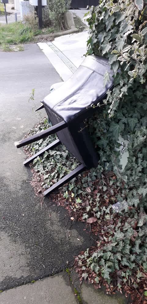 Rubbish/Recycling, a report photo