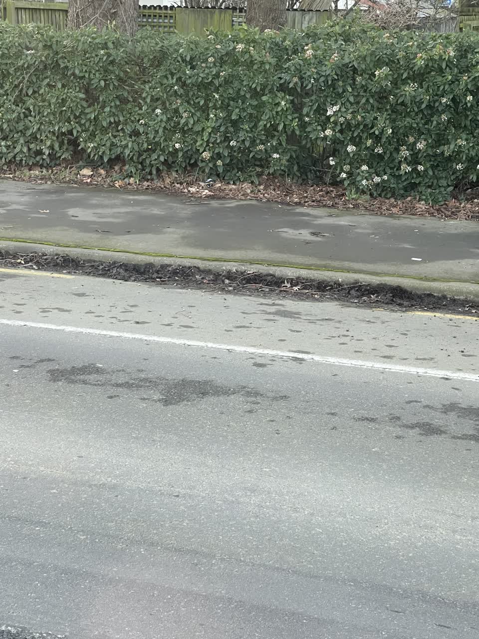 The photograph attached to this roading/streets report
