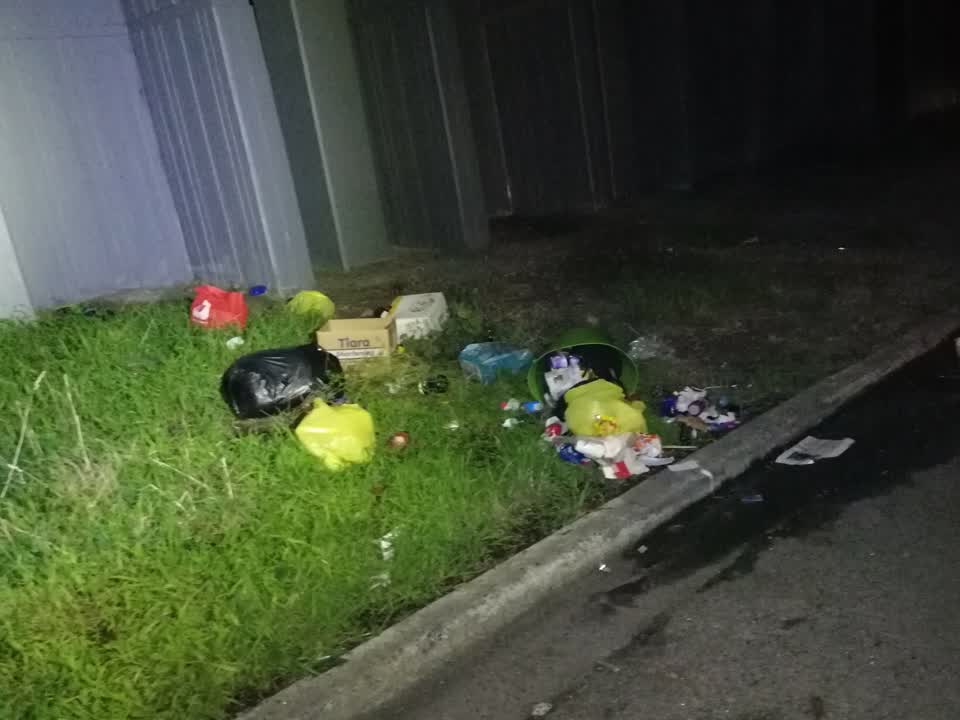 The photograph attached to this rubbish/recycling report